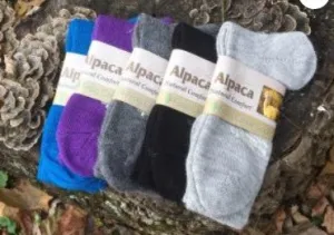 Frog Creek Socks ~Light Weight ~ Shrink Proof